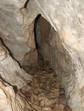 Gaura Fetii Cave, Sighiștel , Photo: WR