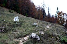 To Scărişoara, Photo: Cristian Ciubotărescu