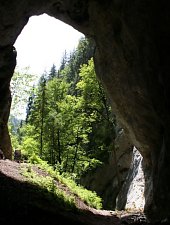 Peștera Poarta lui Ionel, Foto: Radu Palada