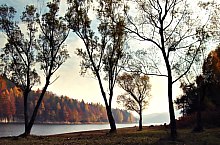 Lacul Firiza, Baia Mare, Foto: Mircea Roșu