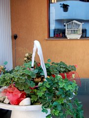 Hotel Ciprian, Cornesti , Foto: WR Hotel Ciprian, Cornesti , Foto: WR