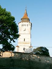 Rotbav
