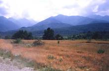 Arpaşul de Jos