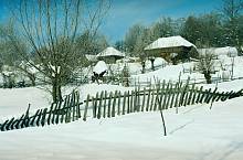 Brădet, Photo: Ioan Sănduloiu