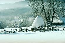 Brădet, Photo: Ioan Sănduloiu