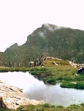 Gălăşescu Mic peak