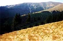Lerescu