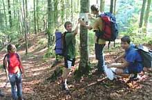 Participants of the ecologic camp, organized by the Zernesti rescue team, at work. 