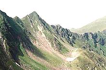 Mogoşului vale
