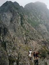 Vânătoarea lui Buteanu and Netedu peaks