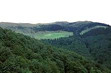 View from the road