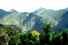 To Rea vale, Photo: Wilhelm Scherz