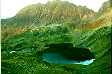 Şaua Caprei