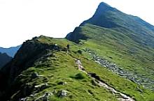 Podragu saddle