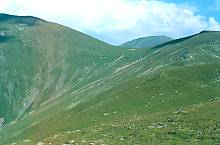 Suru saddle