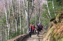 To the Bărcaciu hostel, Photo: Diana Oprescu