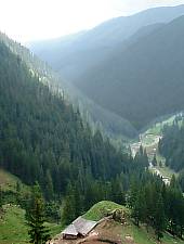 Podul Giurgiului, Photo: Ştefan Puşcaşu