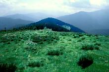 Tămaşul Mare