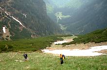 Paltinului vale, Photo: Ştefan Puşcaşu