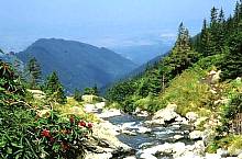 Şerbota vale, Photo: Wilhelm Scherz