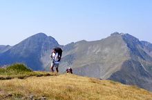 To the Scara peak, Photo: Daniel Pogăcean
