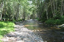 Traseul Valea Valsanului - Varful Moldoveanu, Muntii Fagaras, Foto: Nicolae Dobra Traseul Valea Valsanului - Varful Moldoveanu, Muntii Fagaras, Foto: Nicolae Dobra