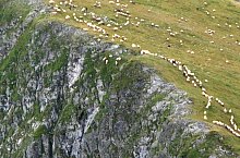 Traseul Valea Valsanului - Varful Moldoveanu, Muntii Fagaras, Foto: Dénes László Traseul Valea Valsanului - Varful Moldoveanu, Muntii Fagaras, Foto: Dénes László