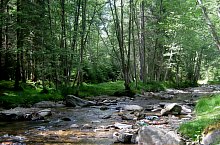 Traseul Valea Valsanului - Varful Moldoveanu, Muntii Fagaras, Foto: Nicolae Dobra Traseul Valea Valsanului - Varful Moldoveanu, Muntii Fagaras, Foto: Nicolae Dobra