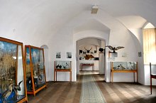 Museum of Natural Sciences, Sighetu Marmației·, Photo: WR