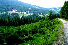 Vârtop saddle - Bihorul peak hiking trail, Bihor-Vladeasa, Apuseni mountains, Photo: Hám Péter