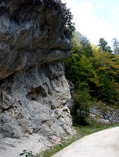Traseul Circuitul cascada Rachitele din Rachitele, Bihor-Vladeasa, Muntii Apuseni, Foto: WR
