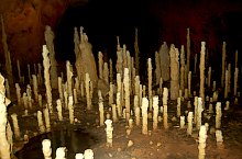 Pestera Ursilor, Chiscau , Foto: WR