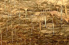 Pestera Ursilor, Chiscau , Foto: WR