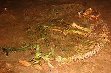 Pestera Ursilor, Chiscau , Foto: WR
