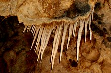 Pestera Ursilor, Chiscau , Foto: Bușe Delu