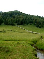 Valea Coblesului, Arieseni , Foto: WR