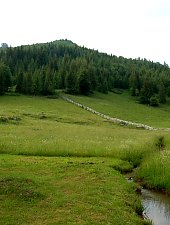 Kobles völgy, Lepus , Fotó: WR