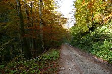 Valea Coblesului, Arieseni , Foto: Cselényi László