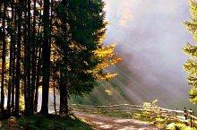 Valea Coblesului, Arieseni , Foto: Cselényi László