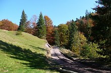 Valea Coblesului, Arieseni , Foto: Cselényi László