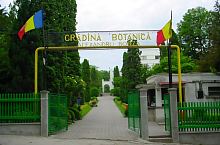 Gradina Botanica, Cluj-Napoca, Foto: Daniel Stoica