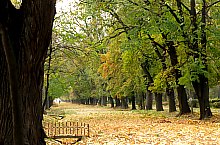 Cluj, Parcul Central, Foto: Mezei Elemér