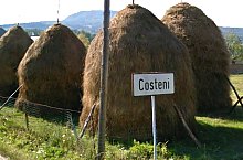 Rákosfalva, Fotó: Nagy Adél