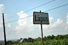 Lapus , Foto: WR