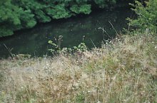 Lacul Vrajitoarea, Ocna Sugatag , Foto: WR