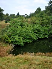 Lacul Vrajitoarea, Ocna Sugatag , Foto: WR