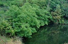 Lacul Vrajitoarea, Ocna Sugatag , Foto: WR