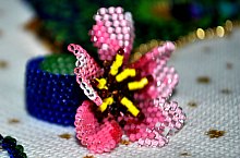 Ocna Sugatag , Foto: WR