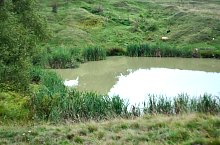 Lacul Gabor-Albertfi, Ocna Sugatag , Foto: WR