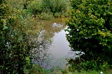 Lacul Forzing, Ocna Sugatag , Foto: WR